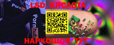 прущие грибы Можайск