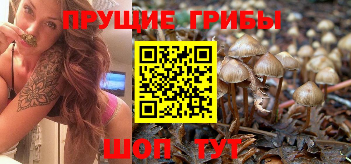 Псилоцибиновые грибы прущие грибы Шали