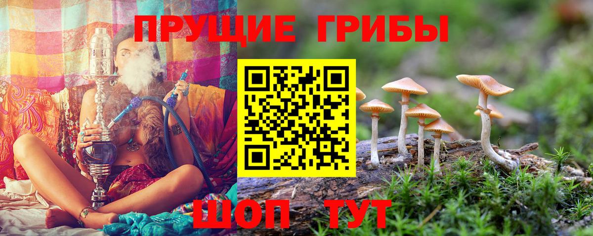Шали  Галлюциногенные грибы MAGIC MUSHROOMS  Вход с VPN 